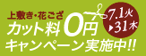 花ござ・上敷きキャンペーン